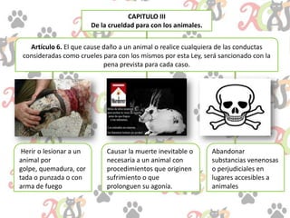 CAPITULO III
De la crueldad para con los animales.
Artículo 6. El que cause daño a un animal o realice cualquiera de las conductas
consideradas como crueles para con los mismos por esta Ley, será sancionado con la
pena prevista para cada caso.
Herir o lesionar a un
animal por
golpe, quemadura, cor
tada o punzada o con
arma de fuego
Causar la muerte inevitable o
necesaria a un animal con
procedimientos que originen
sufrimiento o que
prolonguen su agonía.
Abandonar
substancias venenosas
o perjudiciales en
lugares accesibles a
animales
 