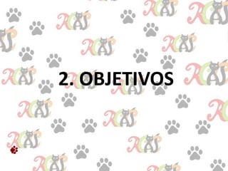 2. OBJETIVOS
 