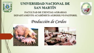 UNIVERSIDAD NACIONAL DE
SAN MARTÍN
FACULTAD DE CIENCIAS AGRARIAS
DEPARTAMENTO ACADÉMICO AGROSILVO PASTORIL
Producción de Cerdos
 