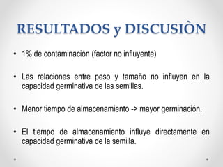 RESULTADOS y DISCUSIÒN
• 1% de contaminación (factor no influyente)
• Las relaciones entre peso y tamaño no influyen en la
capacidad germinativa de las semillas.
• Menor tiempo de almacenamiento -> mayor germinación.
• El tiempo de almacenamiento influye directamente en
capacidad germinativa de la semilla.
 