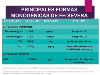 Online Mendelian Inheritance in Man. #143890/ Hypercholesterolemia, familial http://www.ncbi.nlm.nih.gov/omim
Sara Berrade, Mirentxu Oyarzábal, María Chueca Genética de la hipercolesterolemia familiar. Indicaciones de los estudios
genéticos y su utilidad. Rev Esp Endocrinol Pediatr 2012; 3 (Suppl)
ENFERMEDAD GEN/LOCUS UBICACIÓN PROTEINA
AUTOSÓMICA DOMINANTE
FH heterocigota LDLR 19p13.2 Receptor LDL
FH homocigota LDLR 19p13.2 Receptor LDL
FDB APOB 2p23 Apolipoproteína B-100
FH3 PCSK9 1p32.3 Proproteína convertasa
subtilisina/kexina typo 9
AUTOSÓMICA RECESIVA
ARH LDLRAP1 1p36.11 Receptor de LDL adaptado
a proteína-1
 