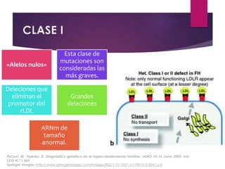 CLASE I
«Alelos nulos»
Esta clase de
mutaciones son
consideradas las
más graves.
Deleciones que
eliminan el
promotor del
rLDL
Grandes
deleciones
ARNm de
tamaño
anormal.
Pocoví, M. ;Tejedor, D. Diagnóstico genético de la hipercolesterolemia familiar. JANO 10-16 Junio 2005. Vol.
LXIX N.º 1.569
Springer Images: http://www.springerimages.com/Images/RSS/1-10.1007_s11789-012-0041-y-0
 