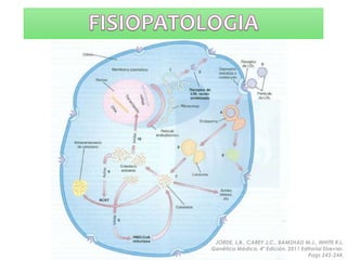 JORDE, L.B., CAREY J.C., BAMSHAD M.J., WHITE R.L.
Genética Médica. 4ª Edición. 2011 Editorial Elsevier.
Pags 243-244.
 
