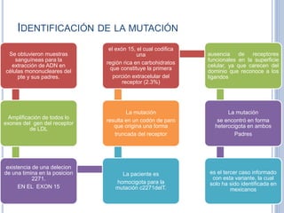 IDENTIFICACIÓN DE LA MUTACIÓN
Se obtuvieron muestras
sanguíneas para la
extracción de ADN en
células mononucleares del
pte y sus padres.
Amplificación de todos lo
exones del gen del receptor
de LDL
existencia de una delecion
de una timina en la posicion
2271.
EN EL EXON 15
La paciente es
homocigota para la
mutación c2271delT.
La mutación
resulta en un codón de paro
que origina una forma
truncada del receptor
el exón 15, el cual codifica
una
región rica en carbohidratos
que constituye la primera
porción extracelular del
receptor (2.3%)
ausencia de receptores
funcionales en la superficie
celular, ya que carecen del
dominio que reconoce a los
ligandos
La mutación
se encontró en forma
heterocigota en ambos
Padres
es el tercer caso informado
con esta variante, la cual
solo ha sido identificada en
mexicanos
 