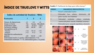 ÍNDICE DE TRUELOVE Y WITTS
 
