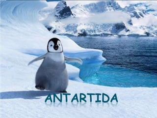 ANTARTIDA
 