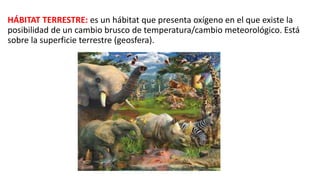 HÁBITAT TERRESTRE: es un hábitat que presenta oxígeno en el que existe la
posibilidad de un cambio brusco de temperatura/cambio meteorológico. Está
sobre la superficie terrestre (geosfera).
 