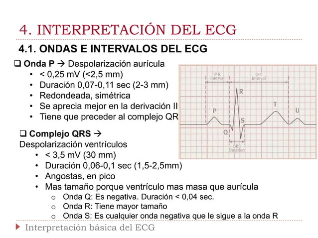 Interpretación básica del ECG | PPTX