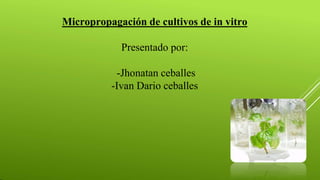 Micropropagación de cultivos de in vitro
Presentado por:
-Jhonatan ceballes
-Ivan Dario ceballes
 