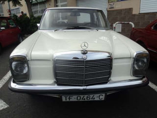 Exposición la cruz santa