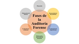 Fases de
la
Auditoría
Forense
Planeación
Reconocimiento
del problema
Evaluación del
riesgo forense
Elaboración y
desarrollo del
programa
Evaluación de
evidencias
Elaboración del
informe
 