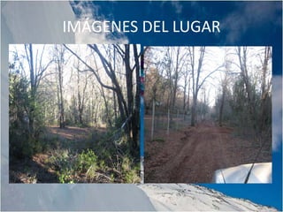 IMÁGENES DEL LUGAR
 