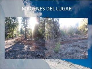 IMÁGENES DEL LUGAR
 
