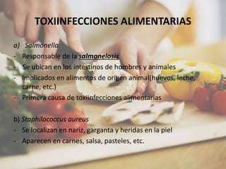 TOXIINFECCIONES ALIMENTARIAS
a) Salmonella
- Responsable de la salmonelosis
- Se ubican en los intestinos de hombres y animales
- Implicados en alimentos de origen animal(huevos, leche,
carne, etc.)
- Primera causa de toxiinfecciones alimentarias
b) Staphilococcus aureus
- Se localizan en nariz, garganta y heridas en la piel
- Aparecen en carnes, salsa, pasteles, etc.
 