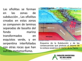 Las ofiolitas se forman
en     las   zonas      de
subducción , Las ofiolitas
creadas en estas zonas
se componen de laminas
separadas de basalto del
fondo             marino
transformados           en
esquistos verde, y en
serpentina interfoliadas     Esquema de la Subducción y de las
                             consecuencias que produce el retorno de
con otras rocas que han      la corteza oceánica al interior de la Tierra.
sufrido metamorfismo.
 