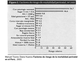 Manuel Ticona ,  Diana Huanco  Factores de riesgo de la mortalidad perinatal en el Perú. . 2003. 
