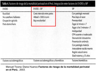 Manuel Ticona ,  Diana Huanco  Factores de riesgo de la mortalidad perinatal en el Perú. . 2003. 