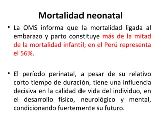 Mortalidad neonatal La OMS informa que la mortalidad ligada al embarazo y parto constituye  más de la mitad de la mortalidad infantil; en el Perú representa el 56%. El período perinataI, a pesar de su relativo corto tiempo de duración, tiene una influencia decisiva en la calidad de vida del individuo, en el desarrollo físico, neurológico y mental, condicionando fuertemente su futuro. 