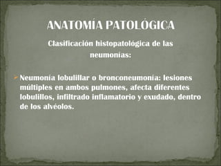 Clasificación histopatológica de las
                     neumonías:

 Neumonía lobulillar o bronconeumonía: lesiones
 múltiples en ambos pulmones, afecta diferentes
 lobulillos, infiltrado inflamatorio y exudado, dentro
 de los alvéolos.
 