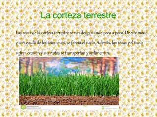 La corteza terrestre
Las rocas de la corteza terrestre se van desgastando poco a poco. De este modo,
y con ayuda de los seres vivos, se forma el suelo. Además, las rocas y el suelo
sufren erosión y sus restos se transportan y sedimentan.
 