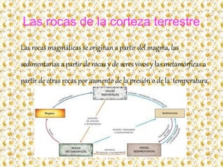 Las rocas de la corteza terrestre
Las rocas magmáticas se originan a partir del magma, las
sedimentarias a partir de rocas y de seres vivos y las metamórficas a
partir de otras rocas por aumento de la presión o de la temperatura.
 