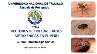 UNIVERSIDAD NACIONAL DE TRUJILLO
Escuela de Postgrado
Curso: Parasitología Clínica
Mblgo. Miguel Angel Ruiz Barrueto
TEMA
 