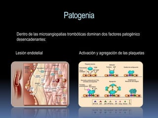 Patogenia
Dentro de las microangiopatias trombóticas dominan dos factores patogénico
desencadenantes:


Lesión endotelial                    Activación y agregación de las plaquetas
 