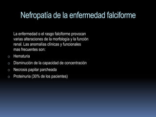 Nefropatía de la enfermedad falciforme
   La enfermedad o el rasgo falciforme provocan
   varias alteraciones de la morfología y la función
   renal. Las anomalías clínicas y funcionales
   mas frecuentes son:
o Hematuria
o Disminución de la capacidad de concentración
o Necrosis papilar parcheada
o Proteinuria (30% de los pacientes)
 