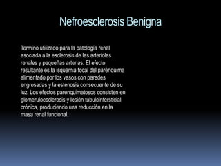 Nefroesclerosis Benigna
Termino utilizado para la patología renal
asociada a la esclerosis de las arteriolas
renales y pequeñas arterias. El efecto
resultante es la isquemia focal del parénquima
alimentado por los vasos con paredes
engrosadas y la estenosis consecuente de su
luz. Los efectos parenquimatosos consisten en
glomeruloesclerosis y lesión tubulointersticial
crónica, produciendo una reducción en la
masa renal funcional.
 