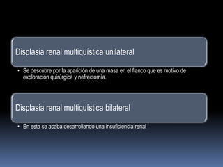Displasia renal multiquística unilateral

• Se descubre por la aparición de una masa en el flanco que es motivo de
  exploración quirúrgica y nefrectomía.




Displasia renal multiquística bilateral

• En esta se acaba desarrollando una insuficiencia renal
 