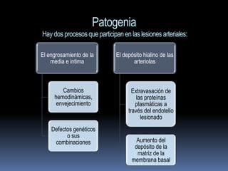Patogenia
Hay dos procesos que participan en las lesiones arteriales:

El engrosamiento de la        El depósito hialino de las
    media e intima                   arteriolas



        Cambios                      Extravasación de
     hemodinámicas,                    las proteínas
      envejecimiento                  plasmáticas a
                                   través del endotelio
                                         lesionado
    Defectos genéticos
          o sus
     combinaciones                     Aumento del
                                      depósito de la
                                       matriz de la
                                     membrana basal
 