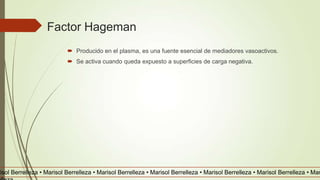 Factor Hageman
 Producido en el plasma, es una fuente esencial de mediadores vasoactivos.
 Se activa cuando queda expuesto a superficies de carga negativa.
risol Berrelleza • Marisol Berrelleza • Marisol Berrelleza • Marisol Berrelleza • Marisol Berrelleza • Marisol Berrelleza • Mar
 