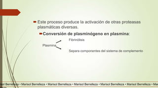 Este proceso produce la activación de otras proteasas
plasmáticas diversas.
Conversión de plasminógeno en plasmina:
Fibrinólisis
Plasmina
Separa componentes del sistema de complemento
risol Berrelleza • Marisol Berrelleza • Marisol Berrelleza • Marisol Berrelleza • Marisol Berrelleza • Marisol Berrelleza • Mar
 