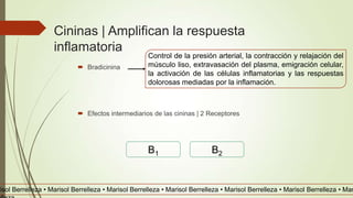 Cininas | Amplifican la respuesta
inflamatoria
 Bradicinina
 Efectos intermediarios de las cininas | 2 Receptores
Control de la presión arterial, la contracción y relajación del
músculo liso, extravasación del plasma, emigración celular,
la activación de las células inflamatorias y las respuestas
dolorosas mediadas por la inflamación.
B1 B2
risol Berrelleza • Marisol Berrelleza • Marisol Berrelleza • Marisol Berrelleza • Marisol Berrelleza • Marisol Berrelleza • Mar
 