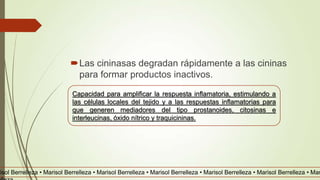 Las cininasas degradan rápidamente a las cininas
para formar productos inactivos.
Capacidad para amplificar la respuesta inflamatoria, estimulando a
las células locales del tejido y a las respuestas inflamatorias para
que generen mediadores del tipo prostanoides, citosinas e
interleucinas, óxido nítrico y traquicininas.
risol Berrelleza • Marisol Berrelleza • Marisol Berrelleza • Marisol Berrelleza • Marisol Berrelleza • Marisol Berrelleza • Mar
 