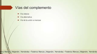 Vías del complemento
 Vía clásica
 Vía alternativa
 Vía de la unión a manosa
derico Marcos | Alejandro Hernández • Federico Marcos | Alejandro Hernández • Federico Marcos | Alejandro Hernández
 