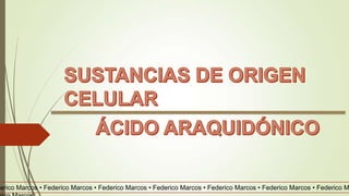 derico Marcos • Federico Marcos • Federico Marcos • Federico Marcos • Federico Marcos • Federico Marcos • Federico M
 