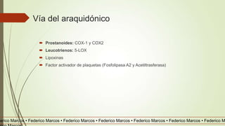 Vía del araquidónico
 Prostanoides: COX-1 y COX2
 Leucotrienos: 5-LOX
 Lipoxinas
 Factor activador de plaquetas (Fosfolipasa A2 y Acetiltrasferasa)
derico Marcos • Federico Marcos • Federico Marcos • Federico Marcos • Federico Marcos • Federico Marcos • Federico M
 