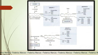 derico Marcos • Federico Marcos • Federico Marcos • Federico Marcos • Federico Marcos • Federico Marcos • Federico M
 