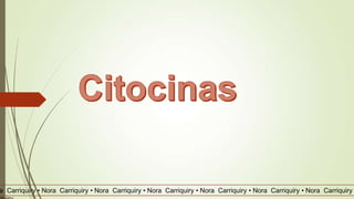 a Carriquiry • Nora Carriquiry • Nora Carriquiry • Nora Carriquiry • Nora Carriquiry • Nora Carriquiry • Nora Carriquiry
 