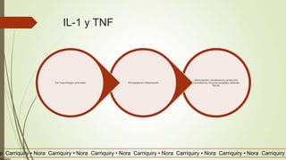 IL-1 y TNF
a Carriquiry • Nora Carriquiry • Nora Carriquiry • Nora Carriquiry • Nora Carriquiry • Nora Carriquiry • Nora Carriquiry
Estimulación : Endotoxinas, productos
microbianos, inmunocomplejos, lesiones
físicas.
Principales en inflamaciónPor macrófagos activados
 