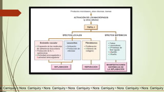 a Carriquiry • Nora Carriquiry • Nora Carriquiry • Nora Carriquiry • Nora Carriquiry • Nora Carriquiry • Nora Carriquiry
 