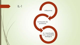 IL-1
Inflasomas
Activación de
proteasas
IL-1 inactivada
a IL-1 actividad
biológica
 