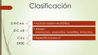 Clasificación
C-X-C o α. • Actúan sobre neutrófilos.
C-C o β
• Atraen
monocitos, eosinofios, basófilos, linfocitos.
C o γ • Especifica para LT
CX3C
 
