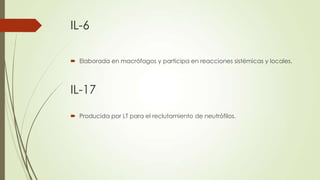 IL-6
 Elaborada en macrófagos y participa en reacciones sistémicas y locales.
IL-17
 Producida por LT para el reclutamiento de neutrófilos.
 