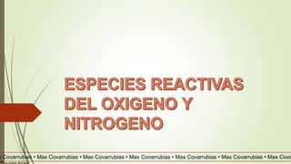 x Covarrubias • Max Covarrubias • Max Covarrubias • Max Covarrubias • Max Covarrubias • Max Covarrubias • Max Cova
 