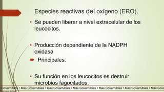 x Covarrubias • Max Covarrubias • Max Covarrubias • Max Covarrubias • Max Covarrubias • Max Covarrubias • Max Cova
Especies reactivas del oxígeno (ERO).
• Se pueden liberar a nivel extracelular de los
leucocitos.
• Producción dependiente de la NADPH
oxidasa
 Principales.
• Su función en los leucocitos es destruir
microbios fagocitados.
 
