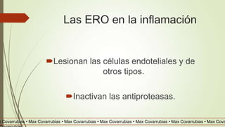 Las ERO en la inflamación
Lesionan las células endoteliales y de
otros tipos.
Inactivan las antiproteasas.
x Covarrubias • Max Covarrubias • Max Covarrubias • Max Covarrubias • Max Covarrubias • Max Covarrubias • Max Cova
 