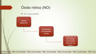 Óxido nítrico (NO)
 Es un gas soluble.
Acción
paracrina
Guanosina
monofosfato
cíclica.
Relajación de
las células
musculares
lisas de los
vasos.
x Covarrubias • Max Covarrubias • Max Covarrubias • Max Covarrubias • Max Covarrubias • Max Covarrubias • Max Cova
 