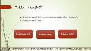 Óxido nítrico (NO)
 Se sintetiza a partir de L- arginina mediante la óxido nítrico sintasa (NOS).
 Existen 3 tipos de NOS.
Endotelial (eNOS) Inducible (iNOS)Neuronal (nNOS)
x Covarrubias • Max Covarrubias • Max Covarrubias • Max Covarrubias • Max Covarrubias • Max Covarrubias • Max Cova
 